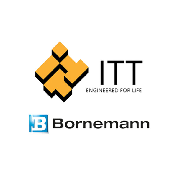 logo-grupo-itt-opt